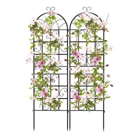 2/4 Pack 71 x 20 Inch Metal Garden Trellis for Climbing Plants (Color: Black, size: Set of 2)
